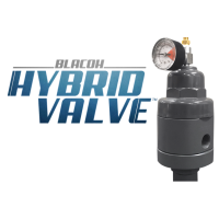 Hybrid Valve