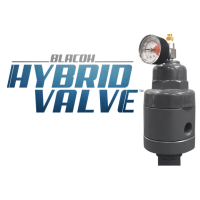 Blacoh Hybrid Valve