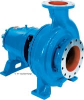 Goulds 3175 Pump