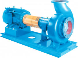 3185 Heavy-Duty Process Pumps