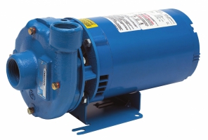 3642/3742 Series End Suction Pumps