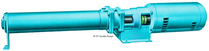 Goulds 3935 Pump