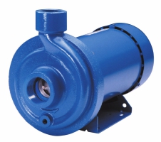 MCC Cast Iron/Stainless Fitted End Suction Pumps