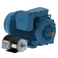 Electric Motors